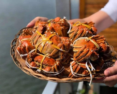 2019年高淳固城湖螃蟹节将于9月21日在固城湖水慢城开幕