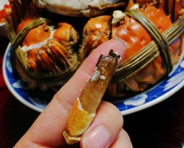 一天做多能吃几只大闸蟹？
