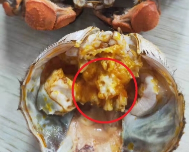 大闸蟹的蟹胃能吃吗