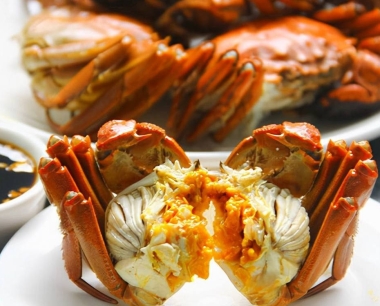 大闸蟹的饮食习惯和生活环境分析