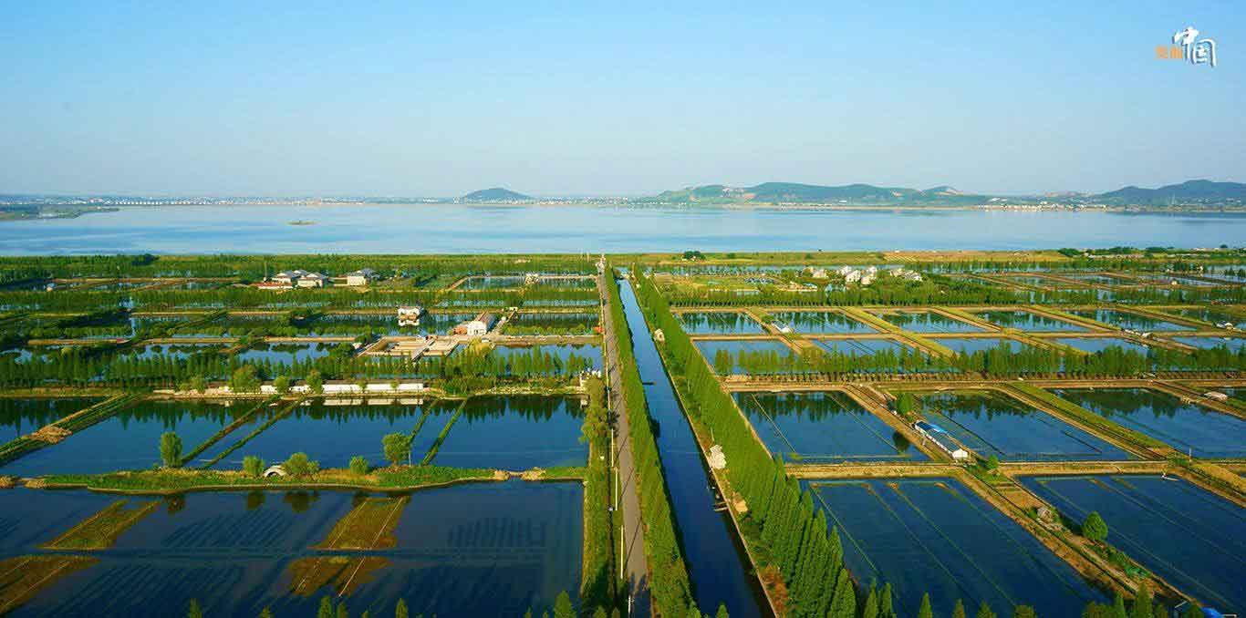 2022首页