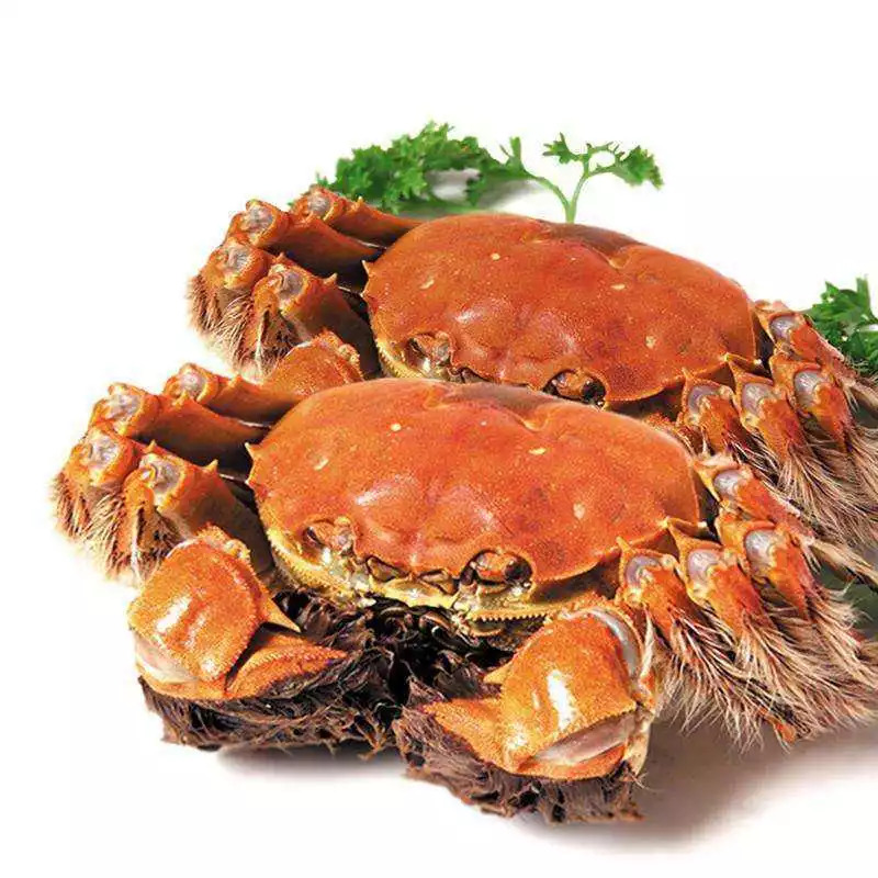 杨子湖螃蟹价格更新：每斤 30 元，了解行情、选购美味佳肴 (杨子湖螃蟹价格表)