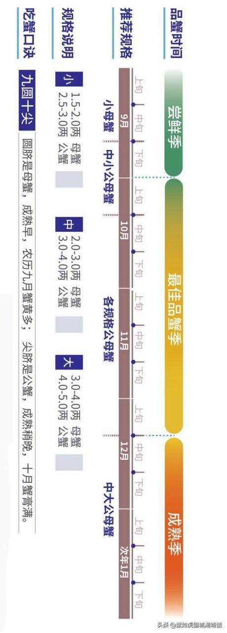 2019年大闸蟹刚上市就“烂市”?往年火爆的大闸蟹今年为何滞销?