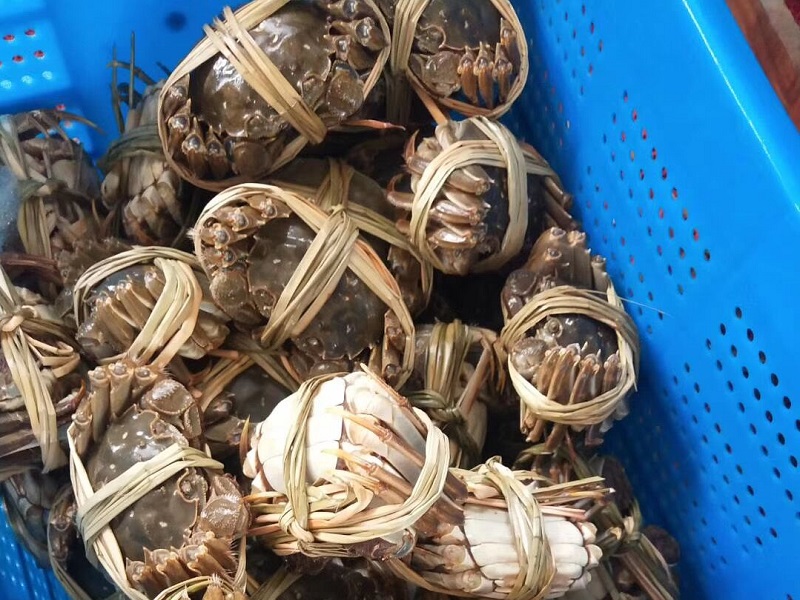 生鲜大闸蟹如何延长寿命？