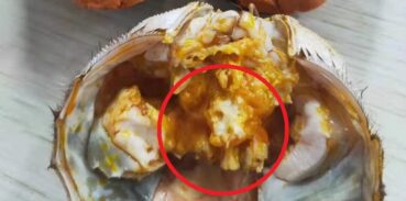 大闸蟹的蟹胃能吃吗？吃了会怎样?