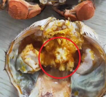 大闸蟹的蟹胃能吃吗？吃了会怎样?