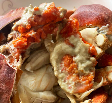 珍宝蟹和面包蟹有什么区别