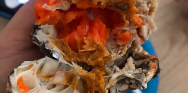 大闸蟹壳属于什么垃圾分类