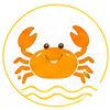 高级选项面板